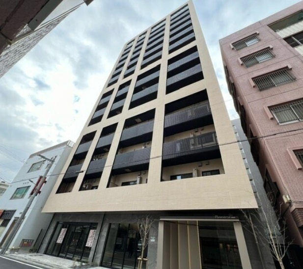 Plumeria（プルメリアの外観