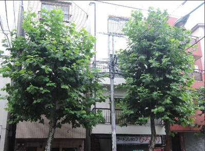【外観】 | 片野ビル　15282 | 4階建のマンションです