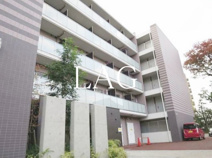 ライジングプレイス綾瀬の画像