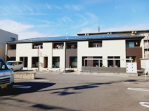 ステラ　ルーチェの画像