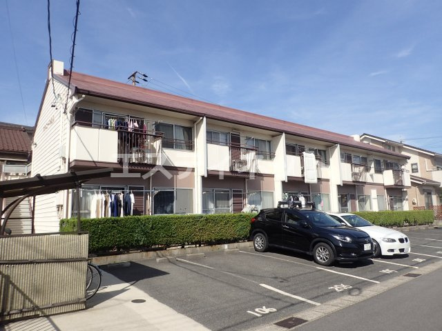 タウニーたねも