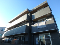 ビーグルテラス　Bの画像