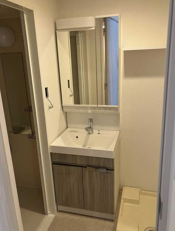 RELUXIA三軒茶屋　ペット相談　分譲　築浅　ネット無料の洗面所