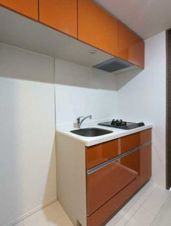 プレミアムキューブ三宿　ペット相談　分譲賃貸　ネット0のキッチン