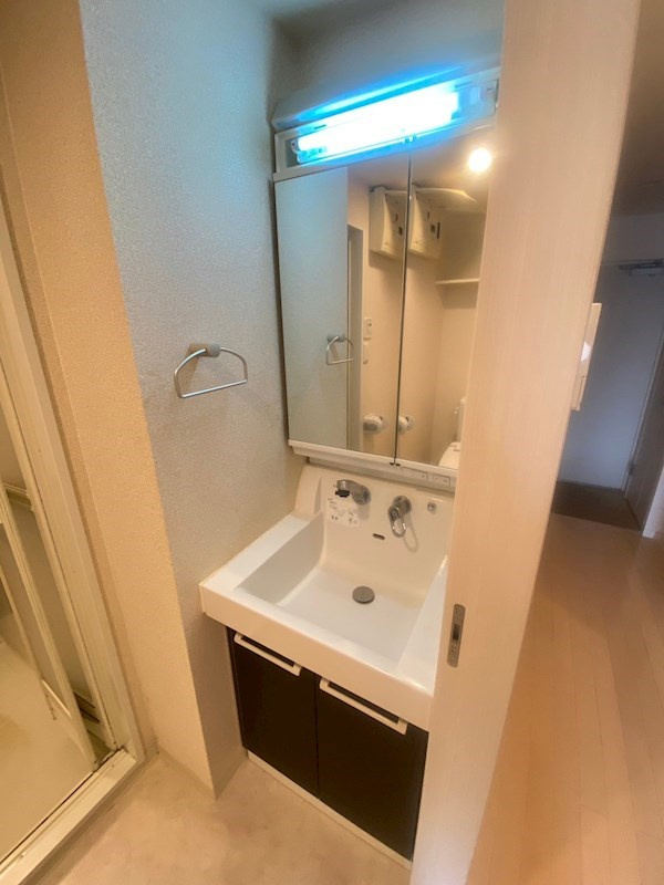 エステムプラザ福岡県庁前ネオシスの洗面所