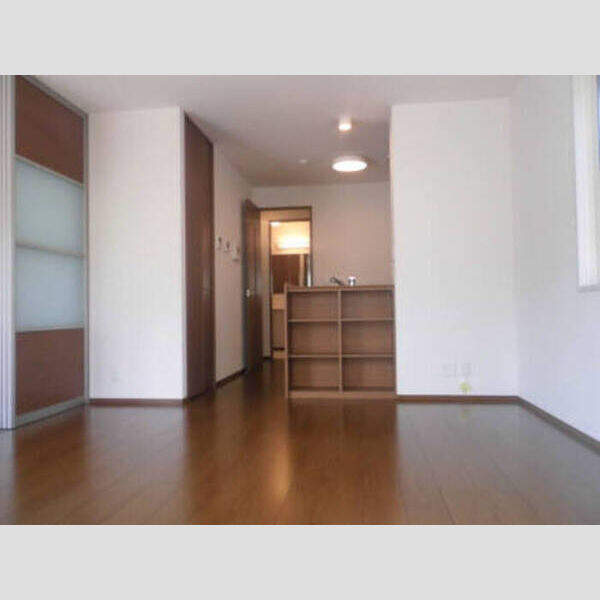 ヌカタコルンSの居間・リビング