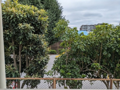 お部屋からの眺め♪隣地は公園です♪