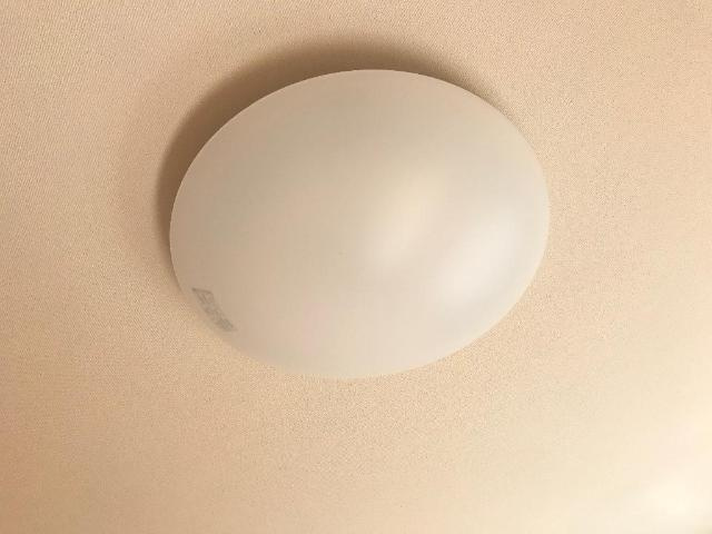 ルピナスのその他|照明
