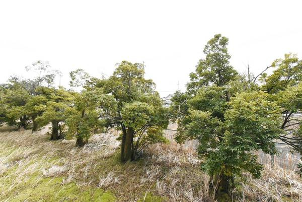 ビレッジハウス吉田宮小路1号棟のその他|ビレッジハウスの同一物件・同一タイプの間取りの写真です