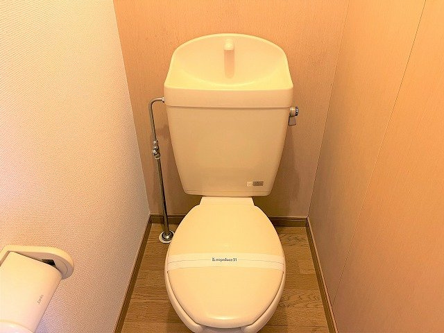 レオパレスエンディヴァーのその他