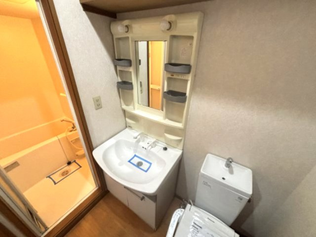 セレブ岡本の洗面所
