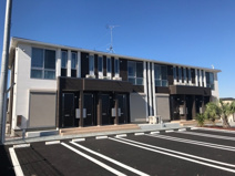 グルーヴィの画像