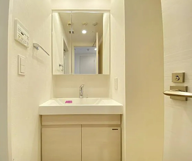 RIDGE王子神谷の洗面所