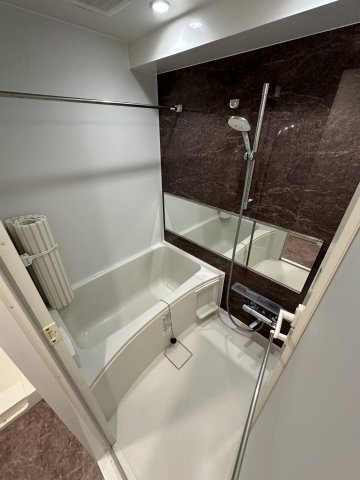 プラシア蒲田 ＴＨＥ ＧＲＡＮＤ ＲＥＳＩＤＥＮＣＥの浴室|コンパクトで使いやすいお風呂です