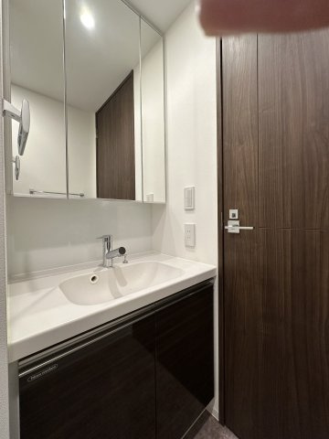 プラシア蒲田 ＴＨＥ ＧＲＡＮＤ ＲＥＳＩＤＥＮＣＥの洗面所|スペースが確保できる洗面所です