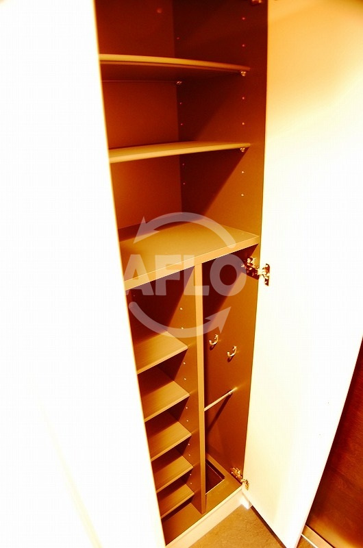 プレサンス難波セレクトの玄関|下駄箱