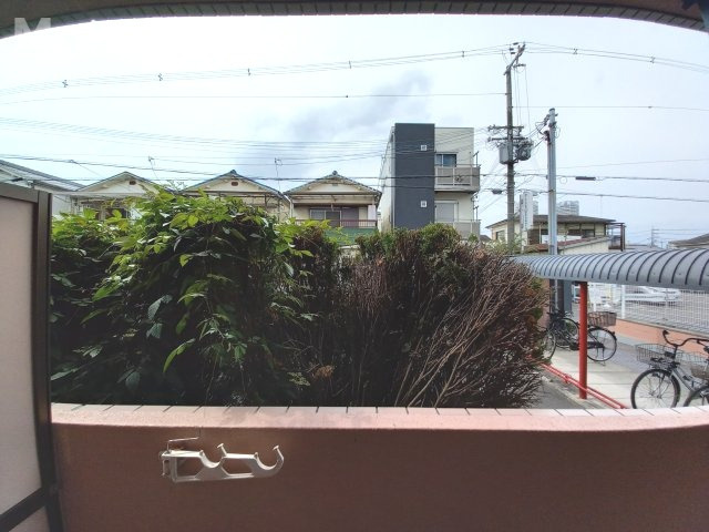 コンフォールの展望