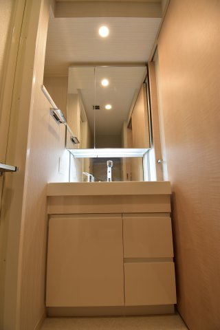 エステムコート難波Ⅵエントの洗面所