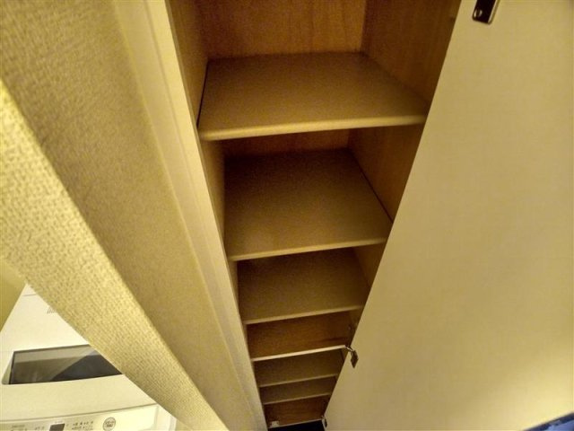 レオパレス大内越の玄関|玄関です