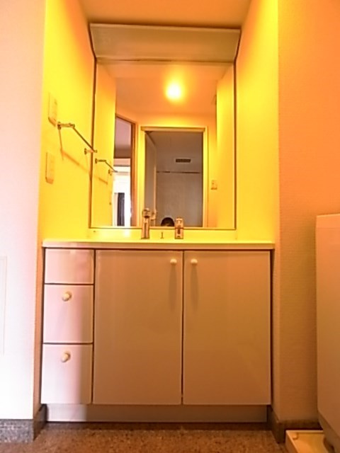 デルファーレ神戸三宮の洗面所