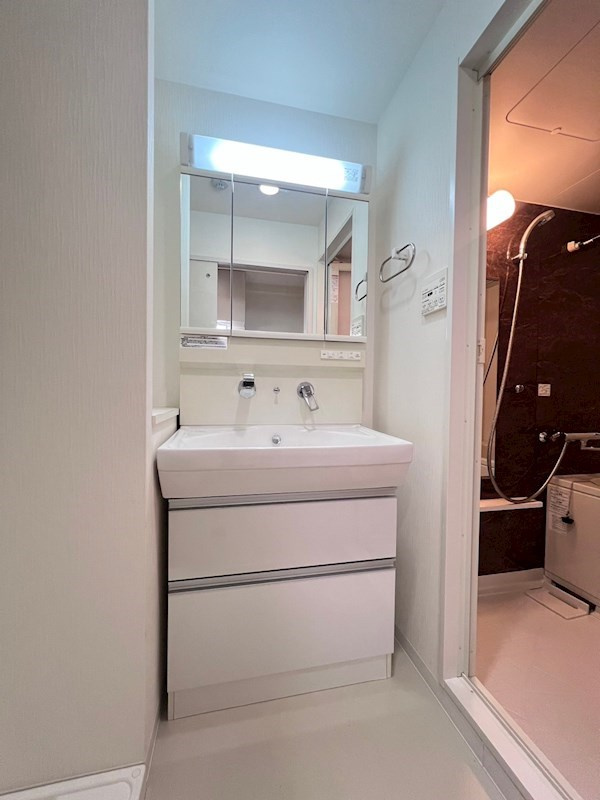 シュロスフォンアインの洗面所