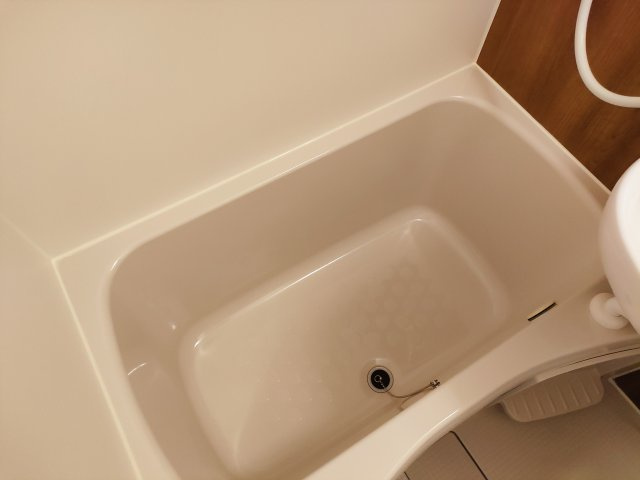 ルミナーレ新小岩の浴室