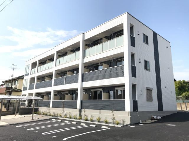 ＣｏｌｌＳｏｌｅｉｌ