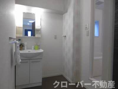 ヴィラグレイス 2番館の洗面所