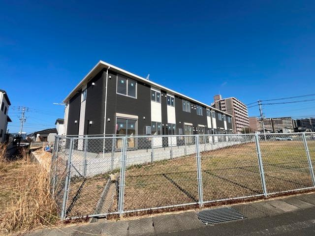 ＳｕｎＥｌｉｎ・Ｌｕｐｉｎｕｓ（サンエリン・ルピナス）