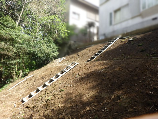 伊豆エメラルドタウン㉞の外観