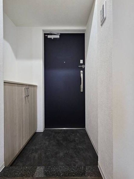 ディアレイシャス名古屋中村公園Ⅱの玄関