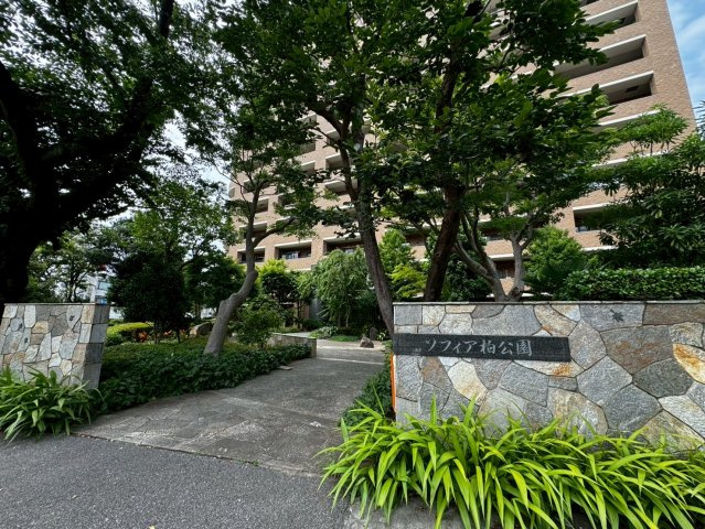 ソフィア柏公園1号棟の外観|外観もきれいです