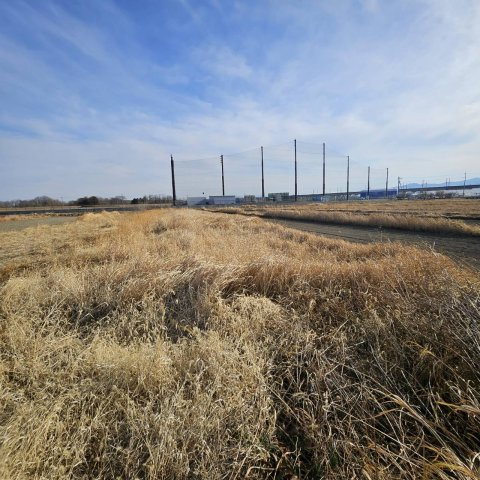 {農地}高崎市阿久津町1303-1（青地）の外観