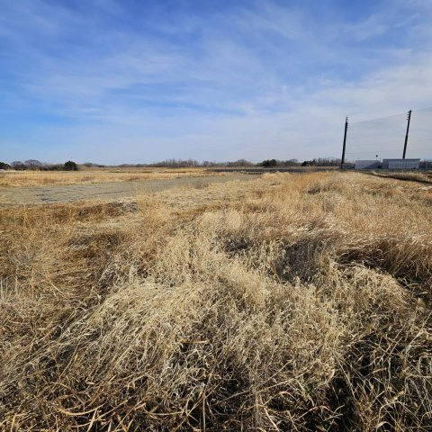 {農地}高崎市阿久津町1303-1（青地）の外観