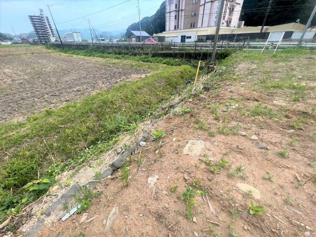 舞木町 借地の庭