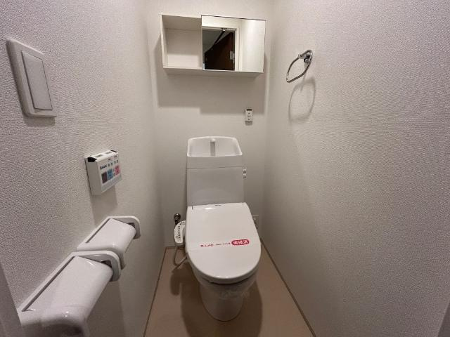 リユニオンのトイレ|シャワー付トイレ