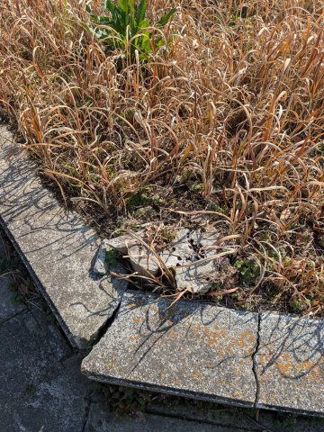 【周辺】 | 九十九里町不動堂　土地
