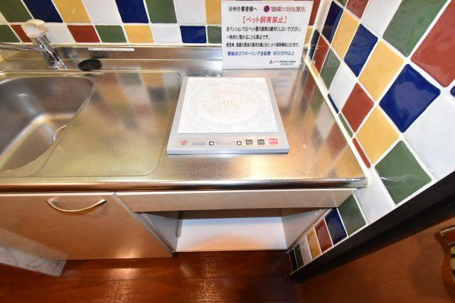 ルパピヨンSPのその他