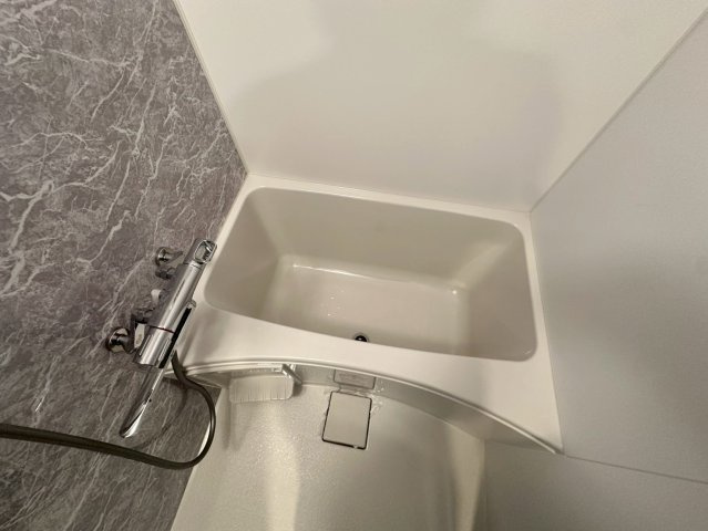 S-RESIDENCE福島Alovitaの浴室
