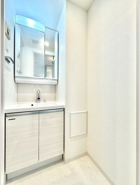 エスリード名古屋STATION NORTHの洗面所