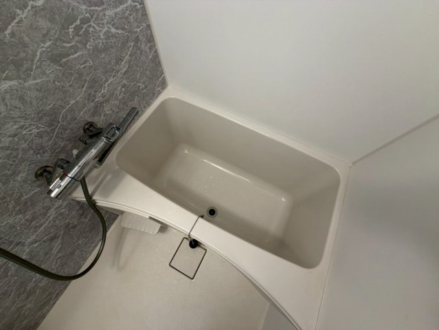 S-RESIDENCE福島Alovitaの浴室