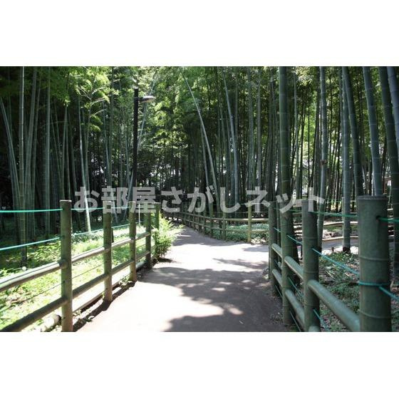 エンゼルフラッツの周辺|公園「すずめのお宿緑地公園まで452ｍ」
