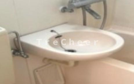 ビューシティー富士見台の洗面所