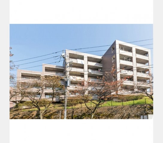 メゾン・ルミエールたまプラーザのその他