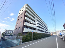 カラコレスⅤの画像