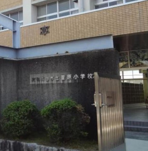 大和高田市西坊城町全9区画の周辺|大和高田市立菅原小学校　1255ｍ　徒歩16分
