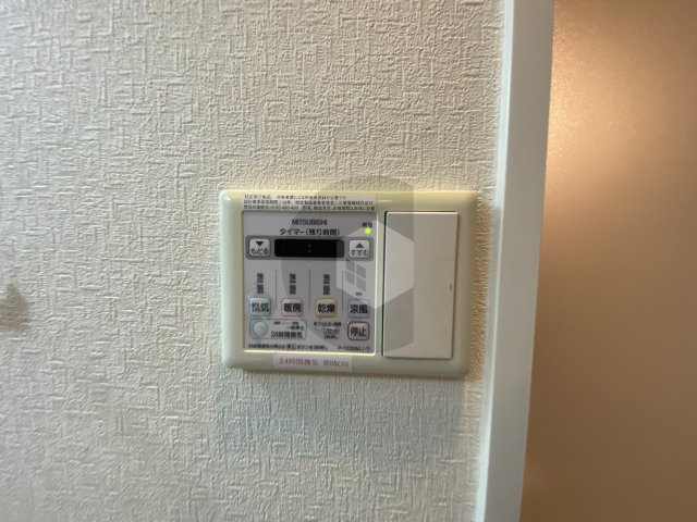 アンギンルマのその他