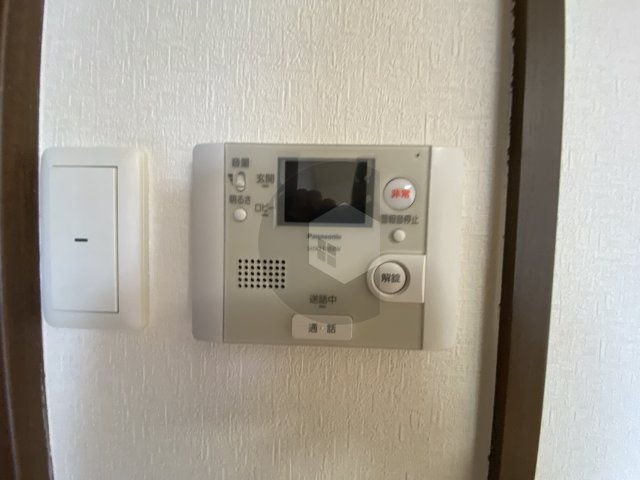アンギンルマのその他