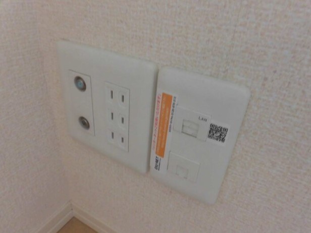 ジュナスFのその他