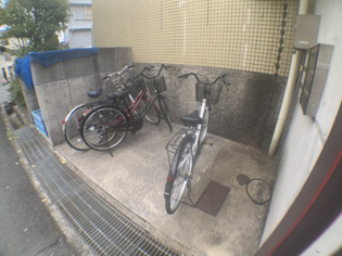 パラツィーナエスタ仁川のその他